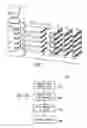 Fig. 06 - MULTICHANNEL TUBES WITH DEFORMABLE WEBS