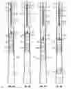 Fig. 04 - Apparatus and methods for well cementing