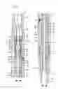Fig. 04 - Abrasive perforator with fluid bypass