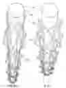 Fig. 10 - Cylindrical Truss Structure Reinforced Pipe