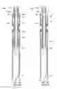 Fig. 05 - Torque sub for use with top drive