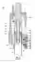 Fig. 06 - Torque sub for use with top drive
