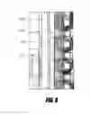 Fig. 09 - SELF-POWERED AND SELF-SENSING MAGNETORHEOLOGICAL DAMPERS