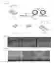 Fig. 06 - Touch screen and manufacturing method thereof