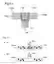 Fig. 02 - Selective ion transport device