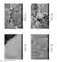 Fig. 03 - ZINC OXIDE AND COBALT OXIDE NANOSTRUCTURES AND METHODS OF MAKING THEREOF