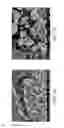 Fig. 04 - ZINC OXIDE AND COBALT OXIDE NANOSTRUCTURES AND METHODS OF MAKING THEREOF
