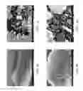 Fig. 05 - ZINC OXIDE AND COBALT OXIDE NANOSTRUCTURES AND METHODS OF MAKING THEREOF