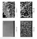 Fig. 07 - ZINC OXIDE AND COBALT OXIDE NANOSTRUCTURES AND METHODS OF MAKING THEREOF