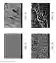 Fig. 08 - ZINC OXIDE AND COBALT OXIDE NANOSTRUCTURES AND METHODS OF MAKING THEREOF
