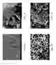 Fig. 09 - ZINC OXIDE AND COBALT OXIDE NANOSTRUCTURES AND METHODS OF MAKING THEREOF
