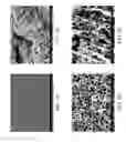 Fig. 10 - ZINC OXIDE AND COBALT OXIDE NANOSTRUCTURES AND METHODS OF MAKING THEREOF