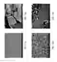 Fig. 11 - ZINC OXIDE AND COBALT OXIDE NANOSTRUCTURES AND METHODS OF MAKING THEREOF