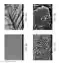 Fig. 12 - ZINC OXIDE AND COBALT OXIDE NANOSTRUCTURES AND METHODS OF MAKING THEREOF