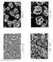 Fig. 17 - ZINC OXIDE AND COBALT OXIDE NANOSTRUCTURES AND METHODS OF MAKING THEREOF