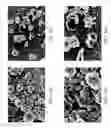 Fig. 18 - ZINC OXIDE AND COBALT OXIDE NANOSTRUCTURES AND METHODS OF MAKING THEREOF