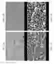 Fig. 22 - ZINC OXIDE AND COBALT OXIDE NANOSTRUCTURES AND METHODS OF MAKING THEREOF