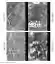 Fig. 23 - ZINC OXIDE AND COBALT OXIDE NANOSTRUCTURES AND METHODS OF MAKING THEREOF