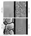 Fig. 28 - ZINC OXIDE AND COBALT OXIDE NANOSTRUCTURES AND METHODS OF MAKING THEREOF