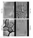 Fig. 32 - ZINC OXIDE AND COBALT OXIDE NANOSTRUCTURES AND METHODS OF MAKING THEREOF