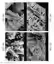 Fig. 33 - ZINC OXIDE AND COBALT OXIDE NANOSTRUCTURES AND METHODS OF MAKING THEREOF