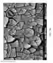 Fig. 34 - ZINC OXIDE AND COBALT OXIDE NANOSTRUCTURES AND METHODS OF MAKING THEREOF