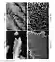 Fig. 37 - ZINC OXIDE AND COBALT OXIDE NANOSTRUCTURES AND METHODS OF MAKING THEREOF