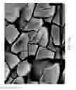 Fig. 42 - ZINC OXIDE AND COBALT OXIDE NANOSTRUCTURES AND METHODS OF MAKING THEREOF
