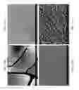 Fig. 43 - ZINC OXIDE AND COBALT OXIDE NANOSTRUCTURES AND METHODS OF MAKING THEREOF