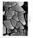 Fig. 46 - ZINC OXIDE AND COBALT OXIDE NANOSTRUCTURES AND METHODS OF MAKING THEREOF
