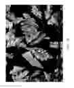Fig. 48 - ZINC OXIDE AND COBALT OXIDE NANOSTRUCTURES AND METHODS OF MAKING THEREOF