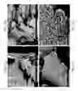 Fig. 49 - ZINC OXIDE AND COBALT OXIDE NANOSTRUCTURES AND METHODS OF MAKING THEREOF