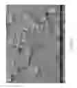 Fig. 50 - ZINC OXIDE AND COBALT OXIDE NANOSTRUCTURES AND METHODS OF MAKING THEREOF