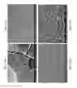 Fig. 51 - ZINC OXIDE AND COBALT OXIDE NANOSTRUCTURES AND METHODS OF MAKING THEREOF