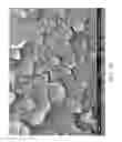 Fig. 58 - ZINC OXIDE AND COBALT OXIDE NANOSTRUCTURES AND METHODS OF MAKING THEREOF
