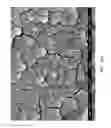 Fig. 62 - ZINC OXIDE AND COBALT OXIDE NANOSTRUCTURES AND METHODS OF MAKING THEREOF