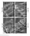 Fig. 65 - ZINC OXIDE AND COBALT OXIDE NANOSTRUCTURES AND METHODS OF MAKING THEREOF