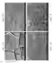 Fig. 67 - ZINC OXIDE AND COBALT OXIDE NANOSTRUCTURES AND METHODS OF MAKING THEREOF