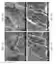 Fig. 69 - ZINC OXIDE AND COBALT OXIDE NANOSTRUCTURES AND METHODS OF MAKING THEREOF
