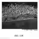 Fig. 13 - Immunoassay method and device with magnetically susceptible bead capture