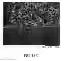 Fig. 14 - Immunoassay method and device with magnetically susceptible bead capture