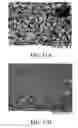 Fig. 15 - Immunoassay method and device with magnetically susceptible bead capture