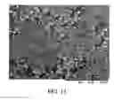 Fig. 16 - Immunoassay method and device with magnetically susceptible bead capture
