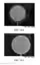 Fig. 18 - Immunoassay method and device with magnetically susceptible bead capture