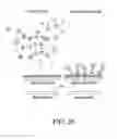Fig. 32 - Immunoassay method and device with magnetically susceptible bead capture