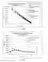 Fig. 10 - Transient decay amperometry