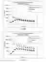 Fig. 11 - Transient decay amperometry