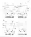 Fig. 04 - PACKAGING CONTAINERS HAVING CONFORMATION INDUCTION MEMBERS AND METHODS OF MAKING AND USING SAME