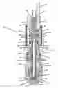 Fig. 01 - Blow-Back Plasma Arc Torch With Shield Fluid-Cooled Electrode