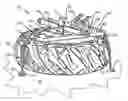 Fig. 01 - UNIVERSAL SPARE TIRE AND ACCESSORY MOUNT